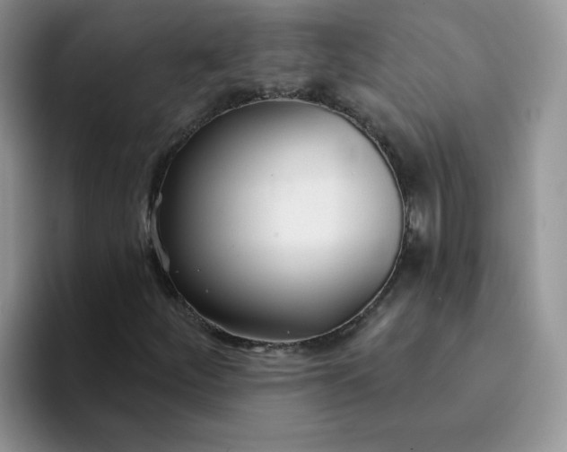 X0000094231252200711091308