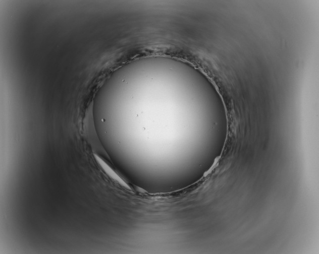 X0000094231253200711091308