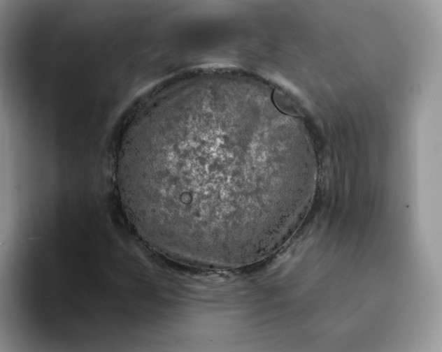 X0000094231255200711091308