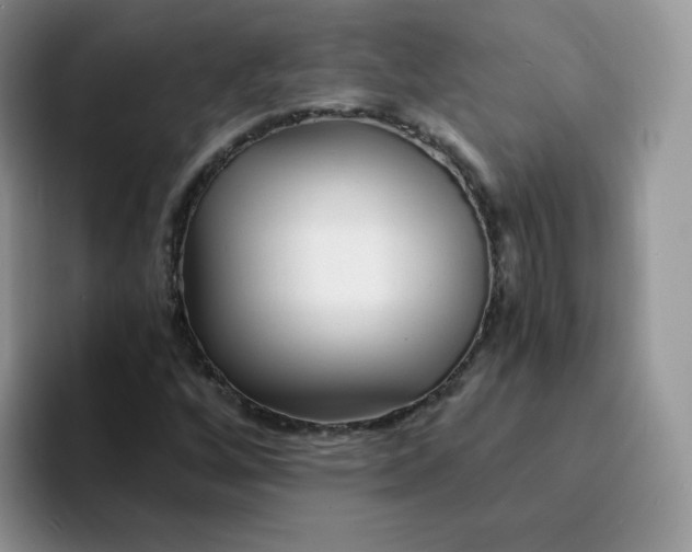 X0000094231256200711091308