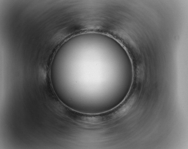 X0000094231257200711091308