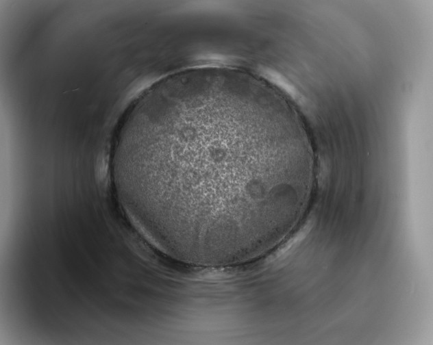 X0000094231259200711091308