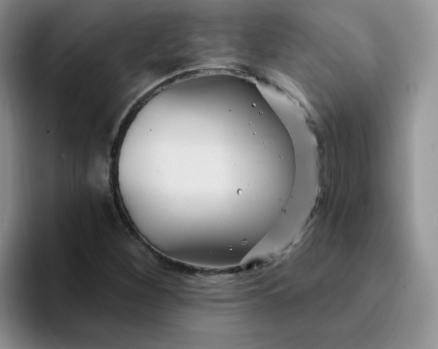 X0000094231260200711091308