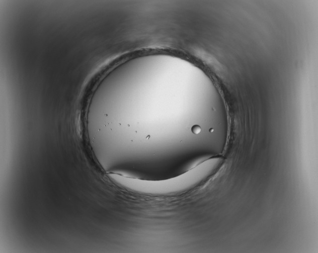 X0000094231262200711091308