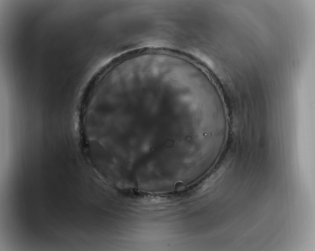 X0000094231263200711091308