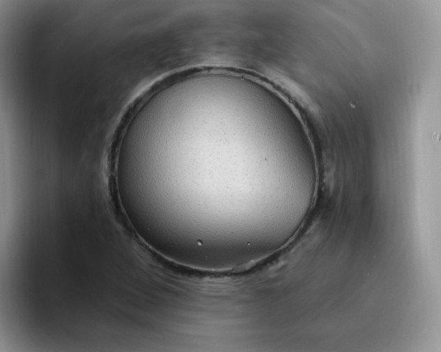 X0000094231264200711091308