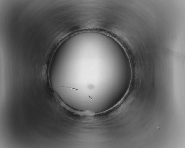 X0000094231265200711091308