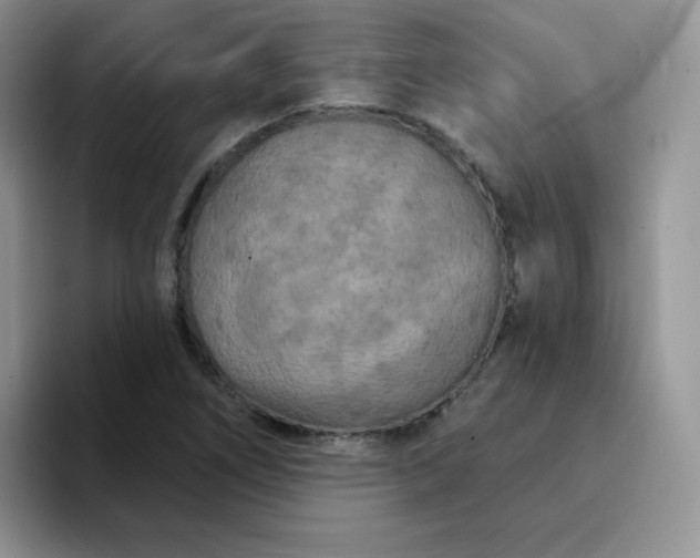 X0000094231266200711091307