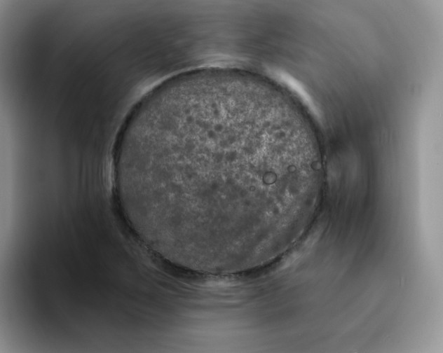 X0000094231267200711091307