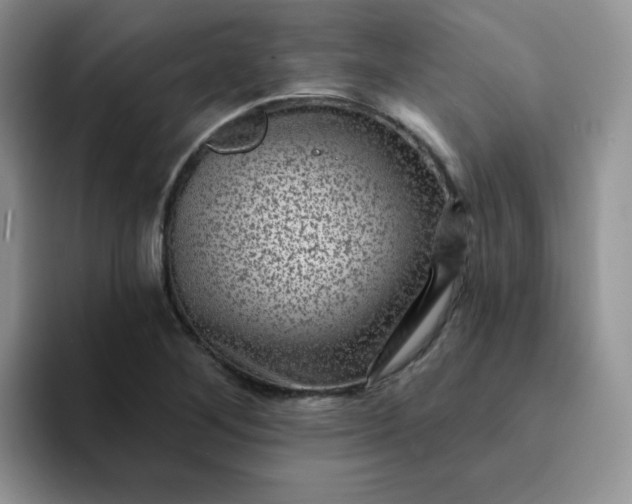 X0000094231268200711091307