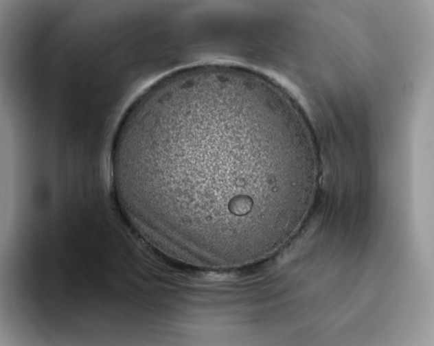 X0000094231271200711091307