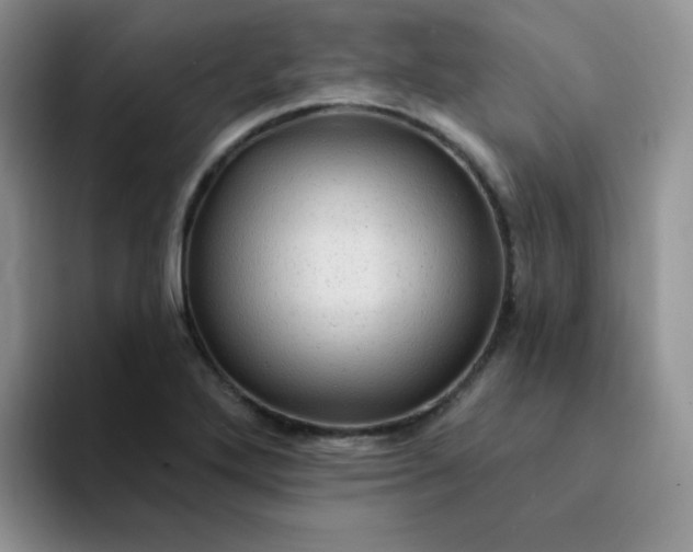 X0000094231272200711091307