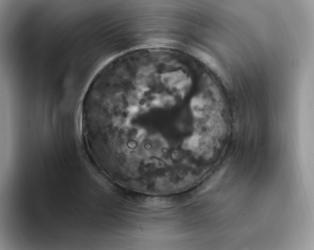 X0000094231275200711091307