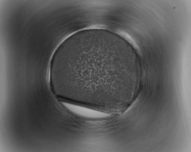 X0000094231276200711091307