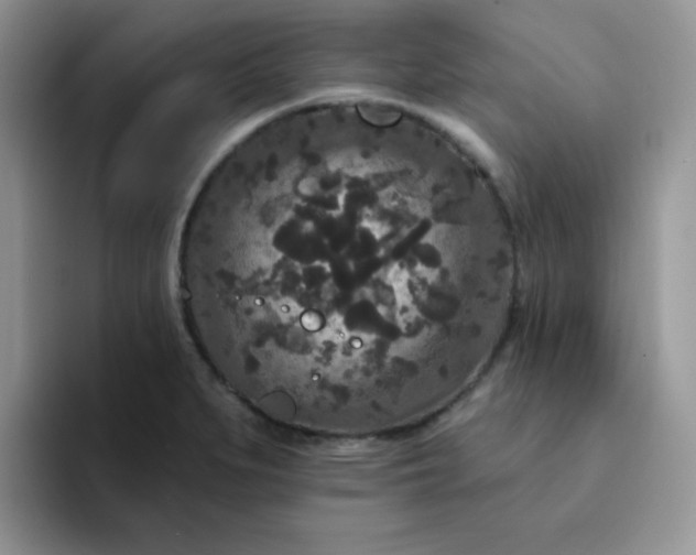 X0000094231279200711091307