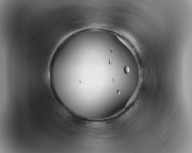 X0000094231280200711091307