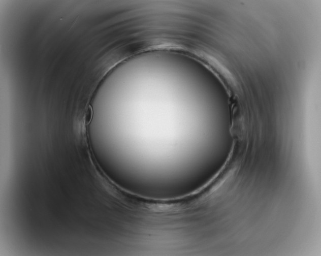 X0000094231281200711091307