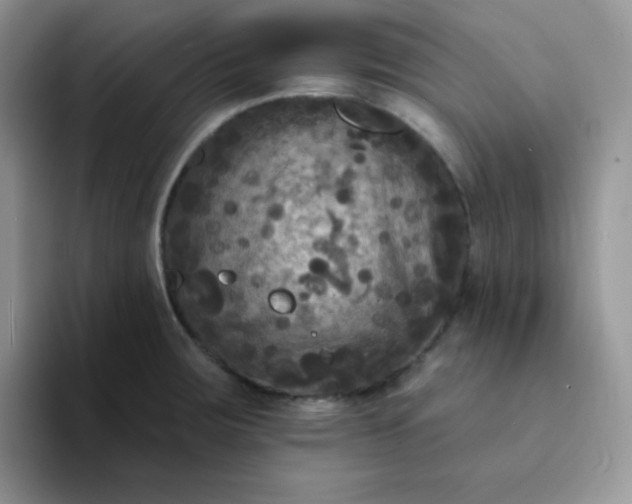 X0000094231283200711091307