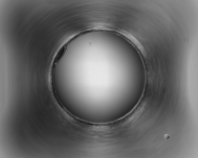 X0000094231285200711091307