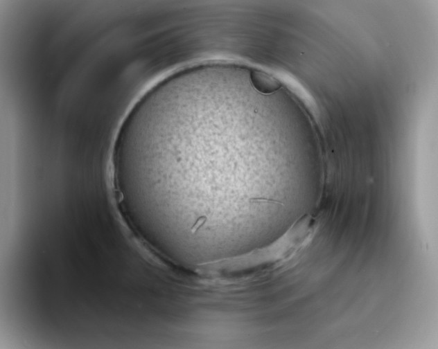 X0000094231287200711091307