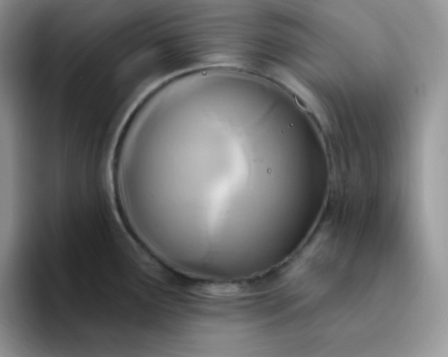 X0000094231291200711091307