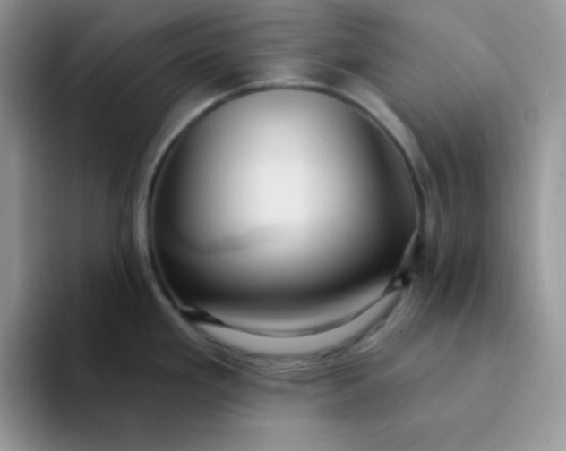 X0000094231293200711091307