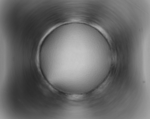 X0000094231294200711091307