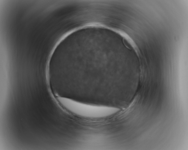 X0000094231295200711091307