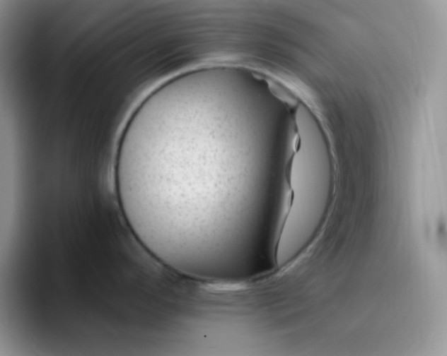 X0000094231296200711091307