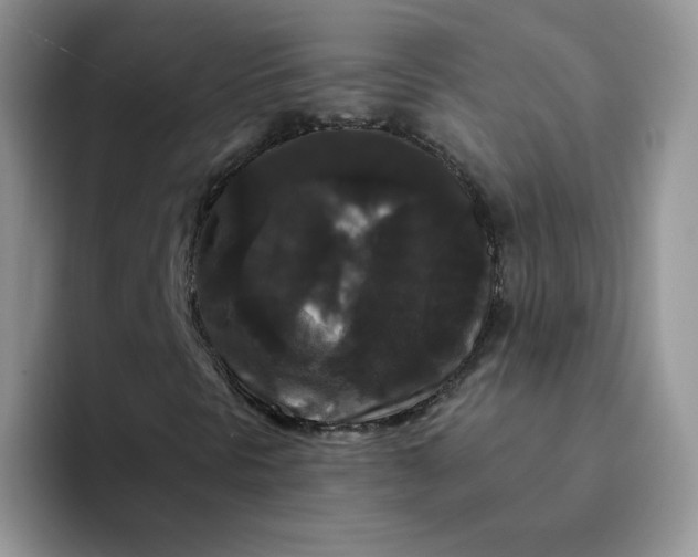 X0000094231297200711091307