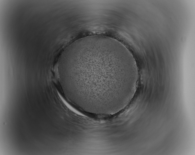 X0000094231298200711091307