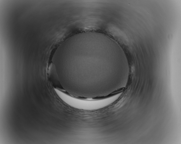 X0000094231300200711091307