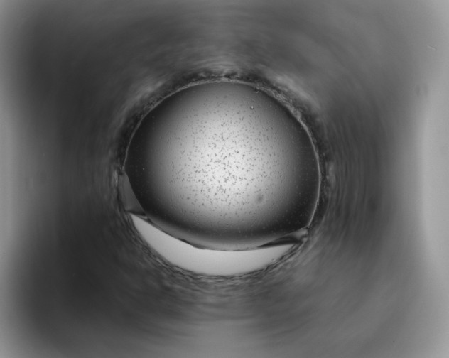 X0000094231302200711091307