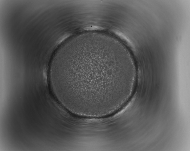 X0000094231305200711091307