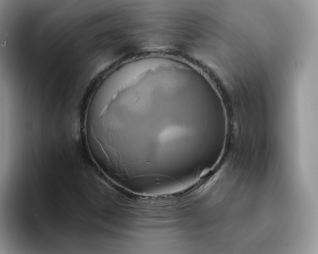 X0000094231306200711091307