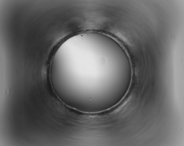 X0000094231309200711091307