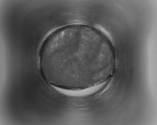 X0000094231310200711091307