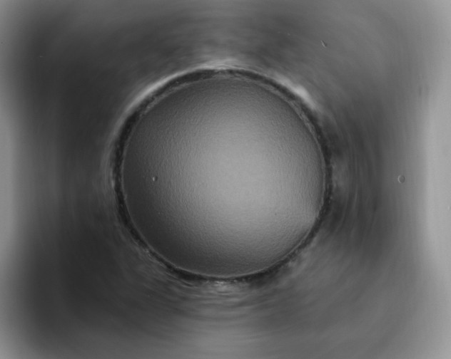 X0000094231311200711091307