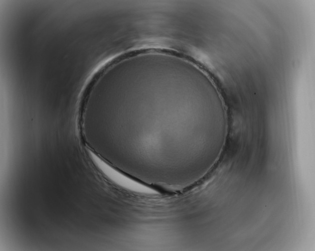 X0000094231312200711091307