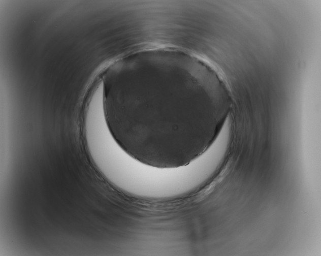 X0000094231314200711091307