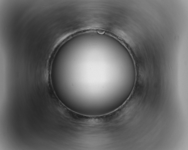 X0000094231316200711091307