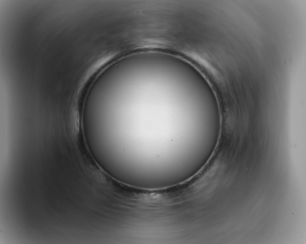 X0000094231317200711091307