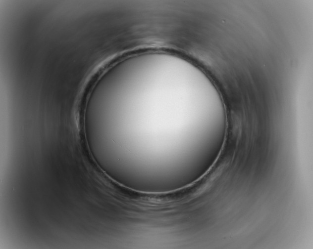 X0000094231318200711091307