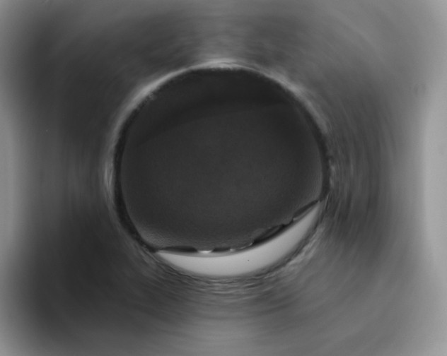 X0000094231319200711091307