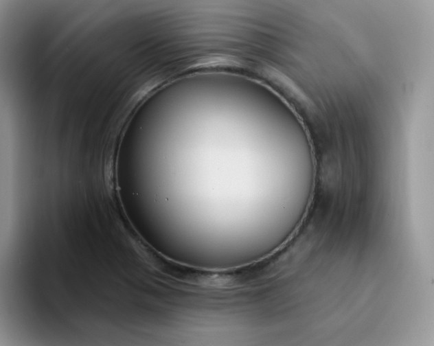 X0000094231321200711091307