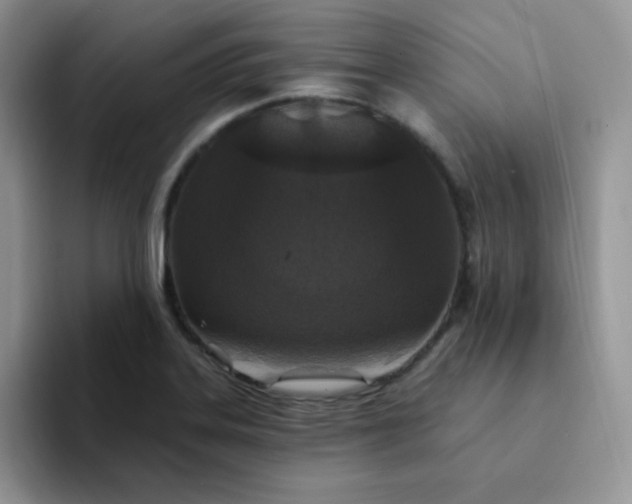 X0000094231323200711091307