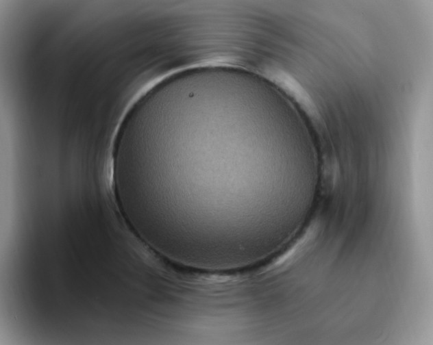 X0000094231324200711091307