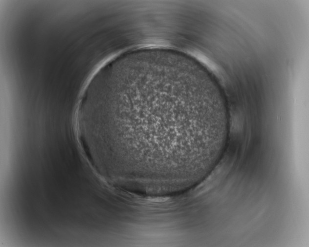 X0000094231325200711091307