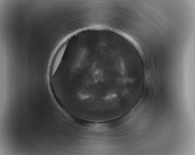 X0000094231327200711091307