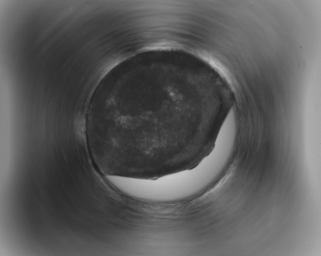 X0000094231329200711091307